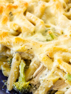 Chicken Alfredo Casserole Picture