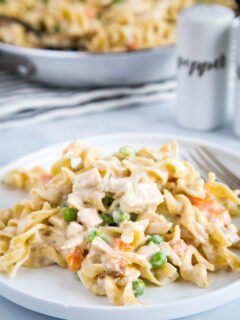 Chicken Pot Pie Noodles Pic