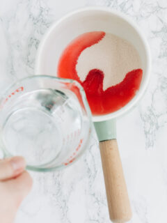 Champagne Jello Shots Recipe Photo