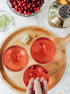 Cranberry Gimlet Cocktail Photo