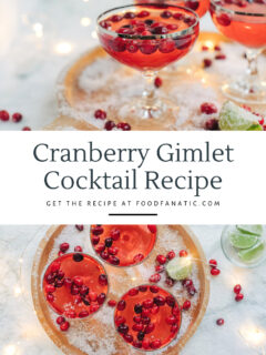 Cranberry Gimlet Cocktail Pic