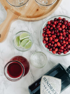 Cranberry Gimlet Pic