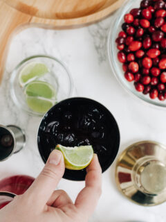 Cranberry Gimlet Recipe Pic