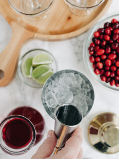 Cranberry Gimlet Recipe Picture