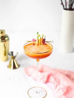 24 Carrot Cocktail Recipe Photo