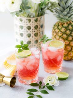 Bay Breeze Cocktail Recipe Photo