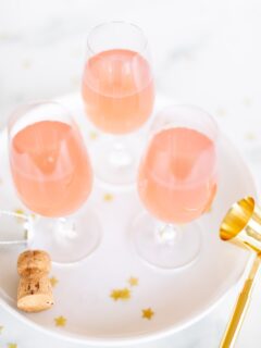 Champagne Margarita Recipe Photo