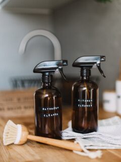 Homemade Vinegar Cleaning Solution Photo