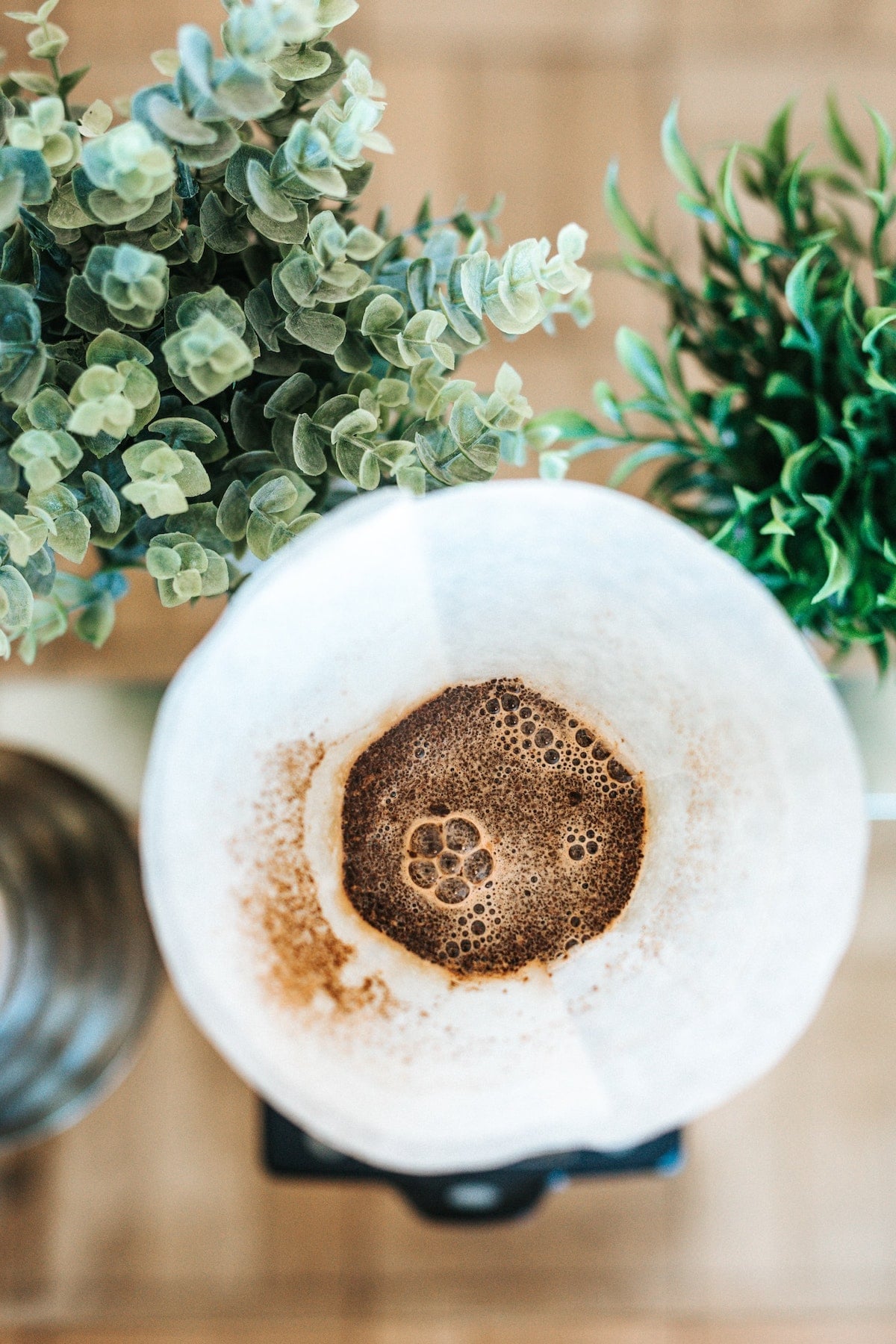 How to Make Coffee with a Chemex Photo - Food Fanatic