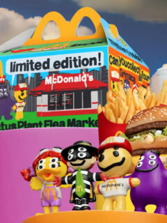 McDonalds Adult Happy Meal Picture