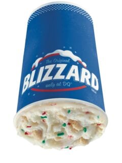 Dairy Queen Frosted Sugar Cookie Blizzard Photo