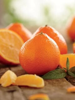 Mini Honeybells from Hale Groves Photo