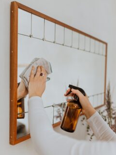 How to Make Vinegar Cleaner at Home Picture