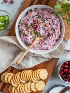 Cranberry Jalapeño Dip Recipe Picture