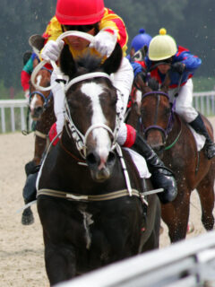 Kentucky Derby Drink Picture