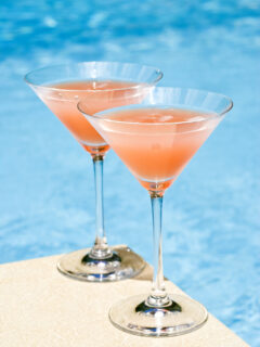 Is Vodka Gluten Free Martini Glasses