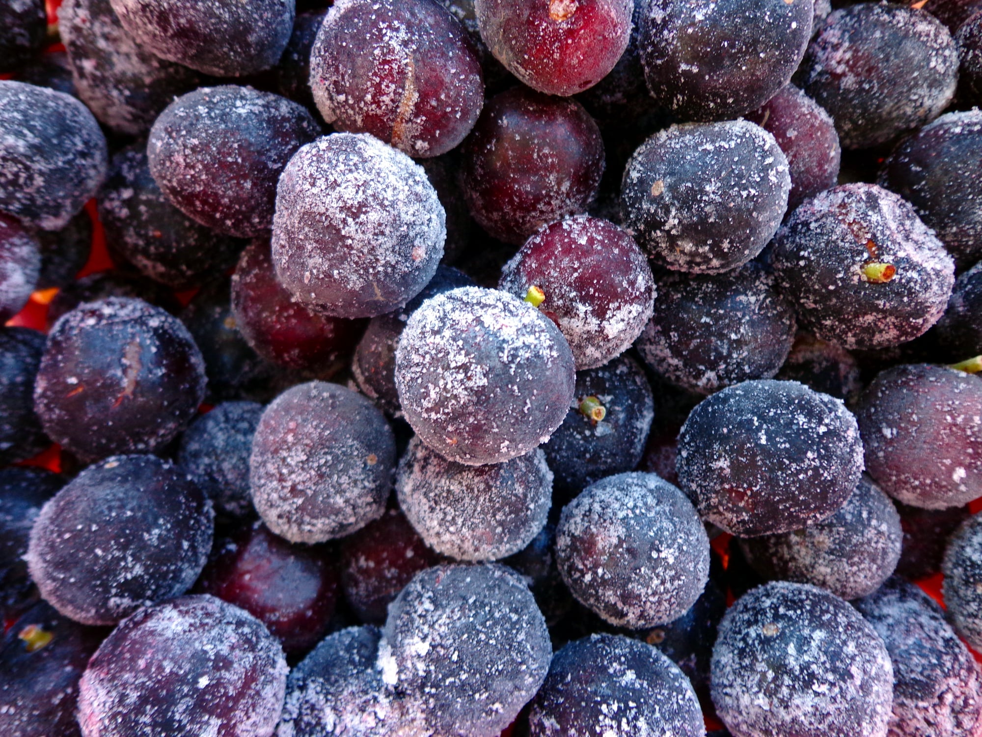 Trust Us: You Should Freeze Grapes - Food Fanatic